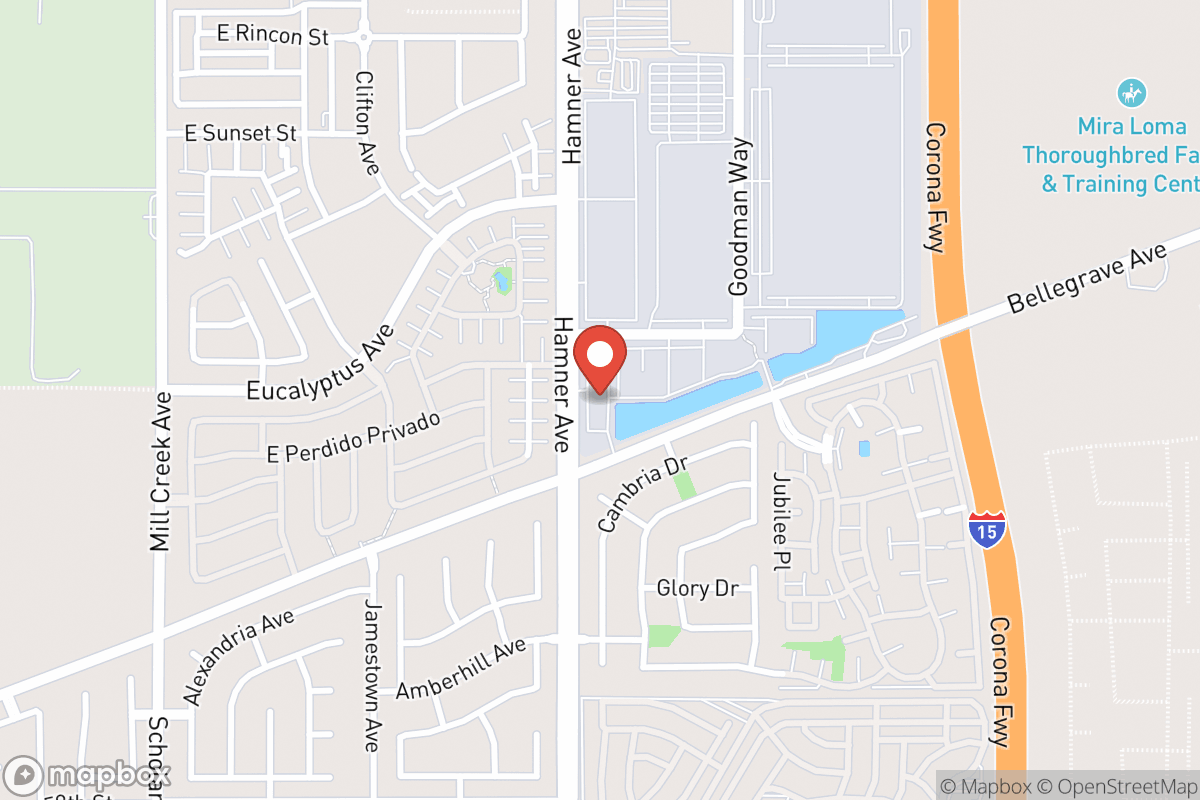Bloomvale Dental