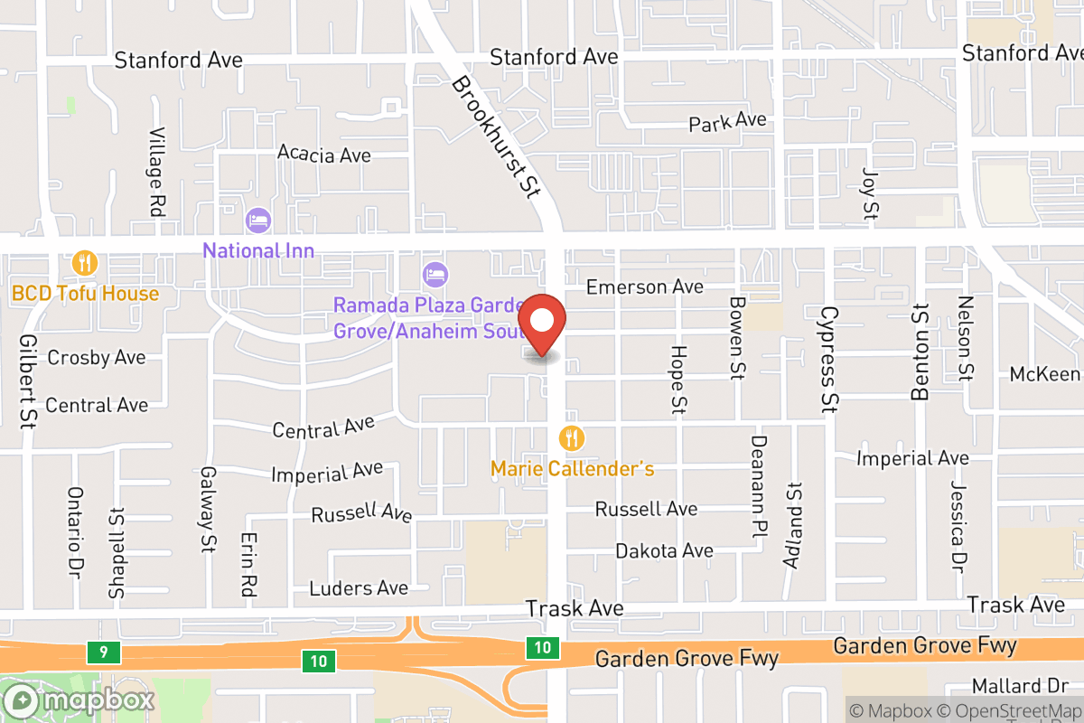Wellness Dental Group