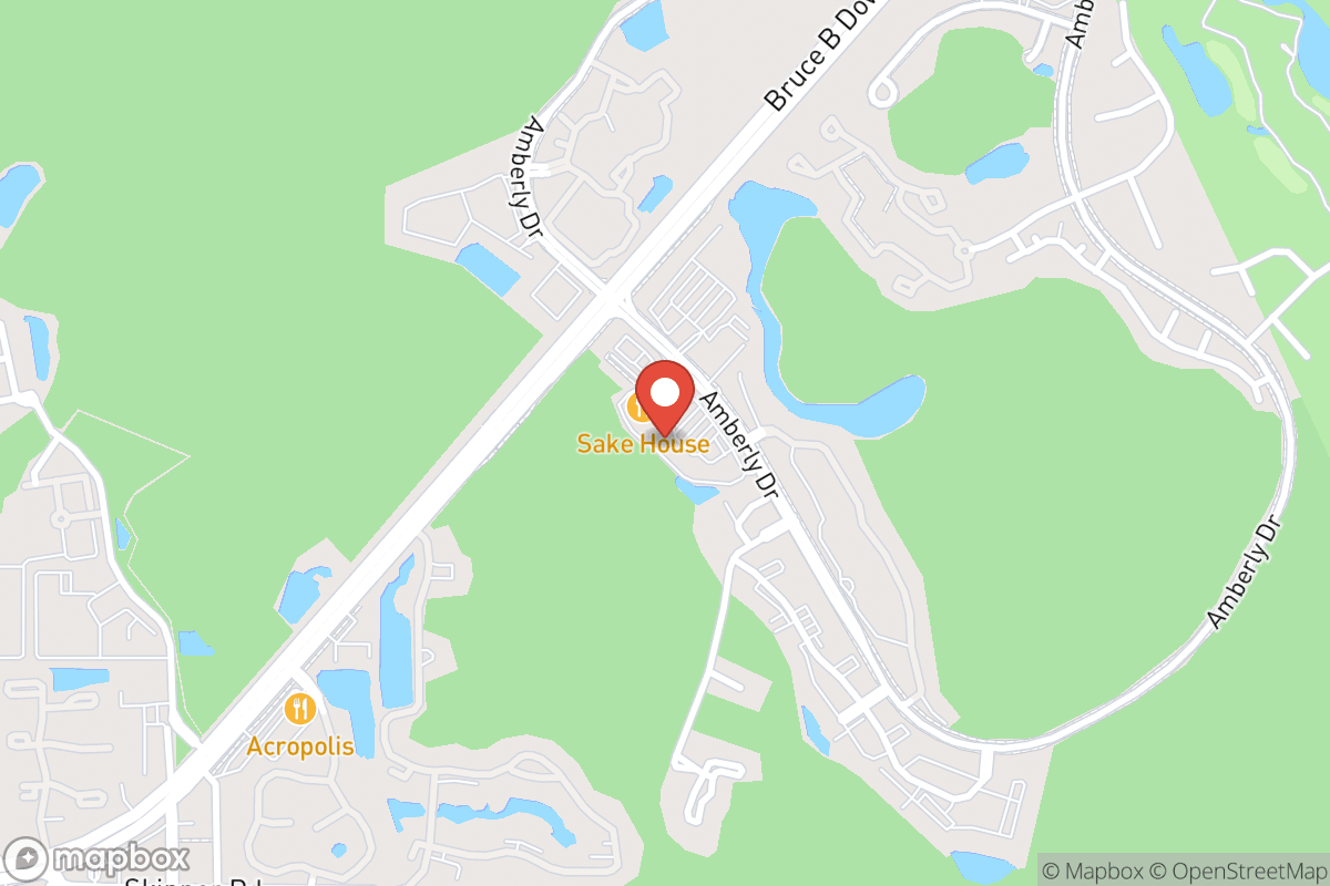 All Dental Tampa Palms