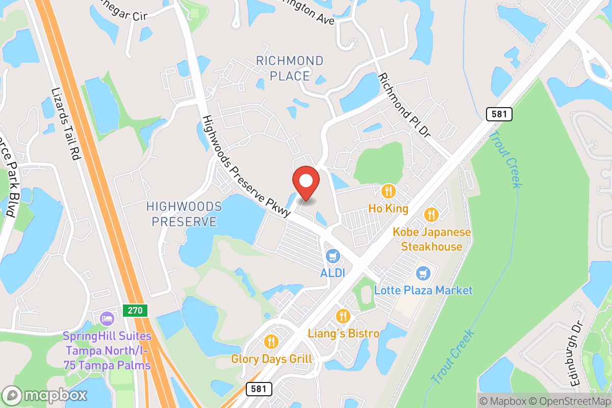 New Tampa Dental