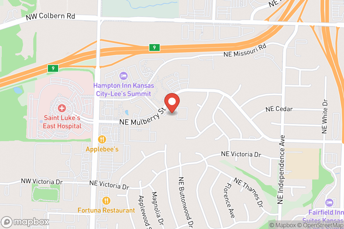 Spencer & Spencer Pediatric Dentistry