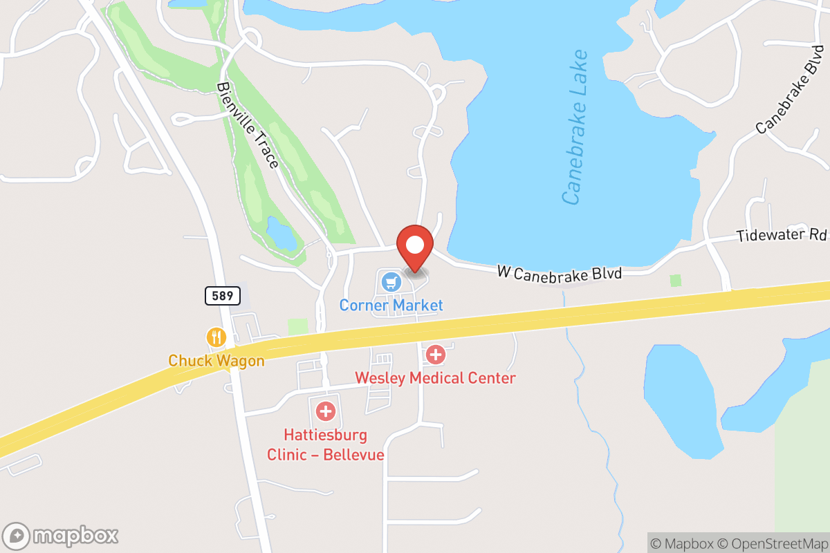 Smiles Ahead Orthodontics Christy Dryden Head DDS