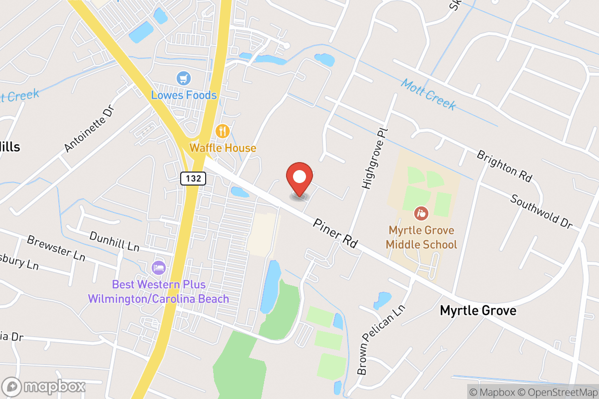 Dr. Michele L. Simpson DDS PA