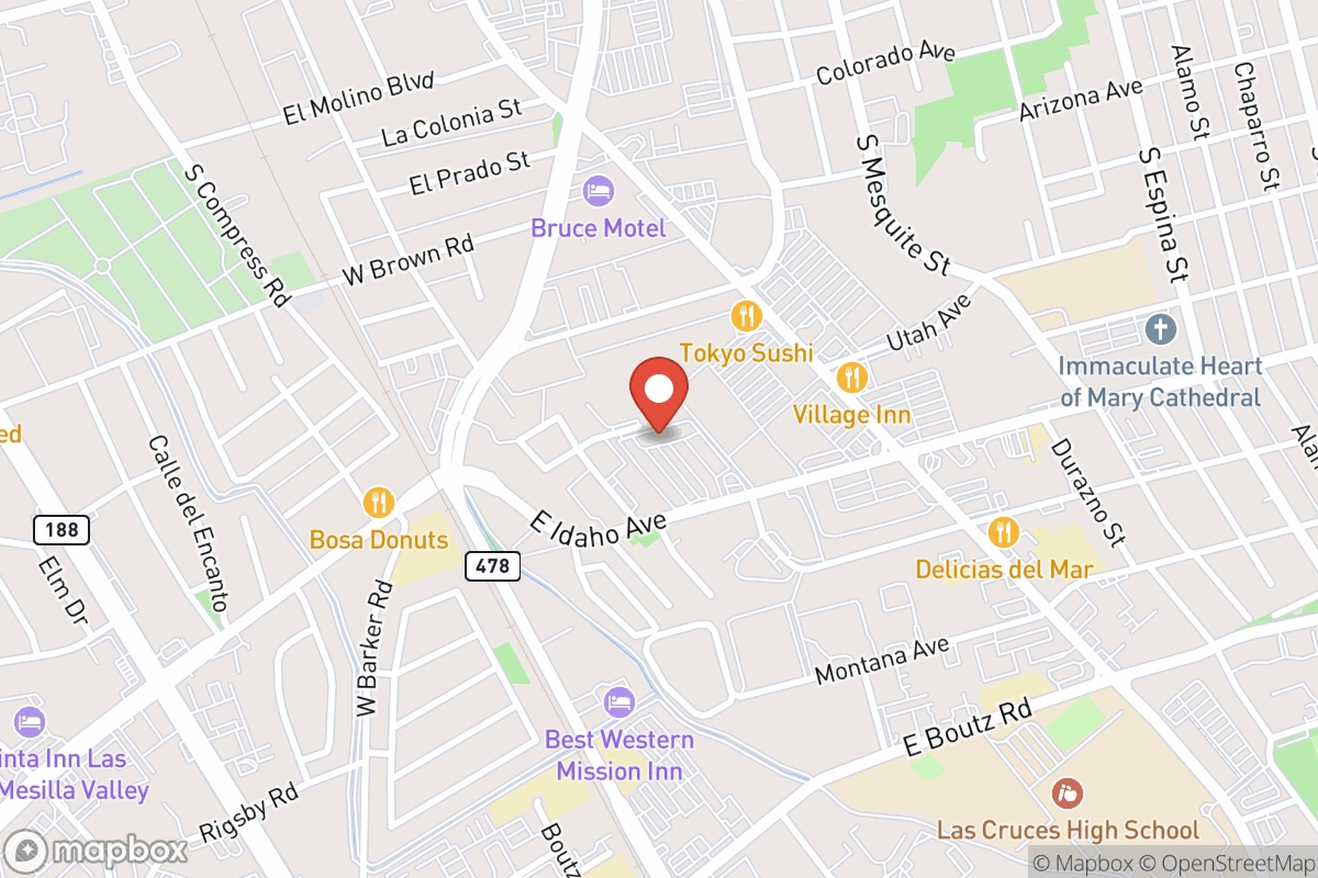 Artisan Dental, Dr. S. Grace Johnson DDS