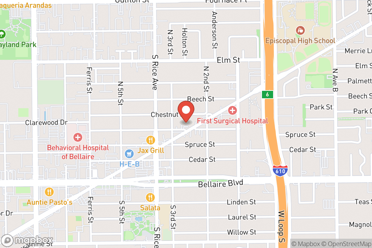 The Houston Dentists